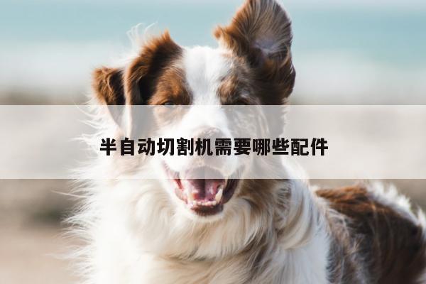 ayx爱游戏-半自动切割机需要哪些配件