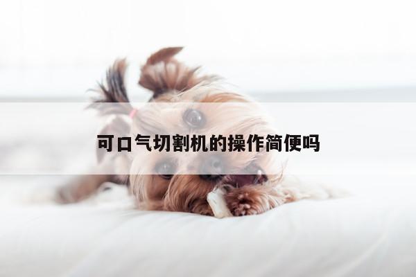 爱游戏(ayx)官方网站|可口气切割机的操作简便吗