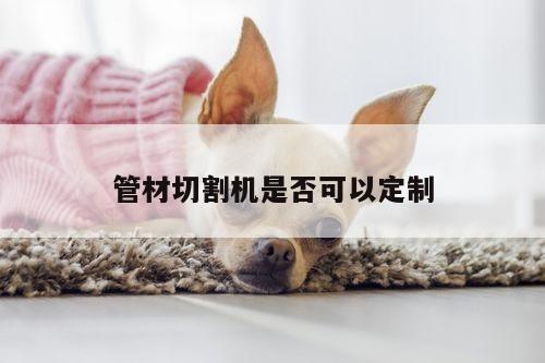 管材切割机是否可以定制|ayx爱游戏