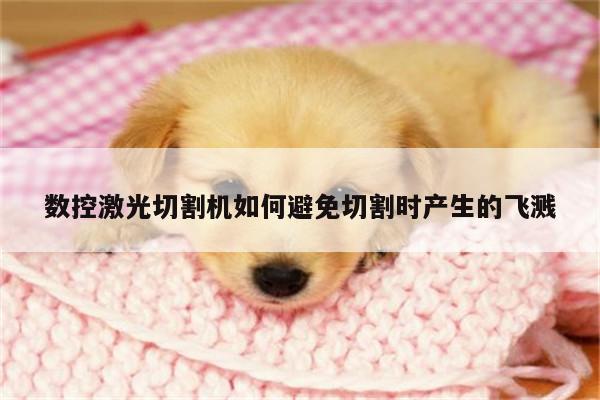 【ayx爱游戏】数控激光切割机如何避免切割时产生的飞溅