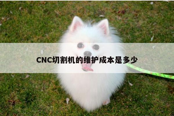 ayx爱游戏|CNC切割机的维护成本是多少