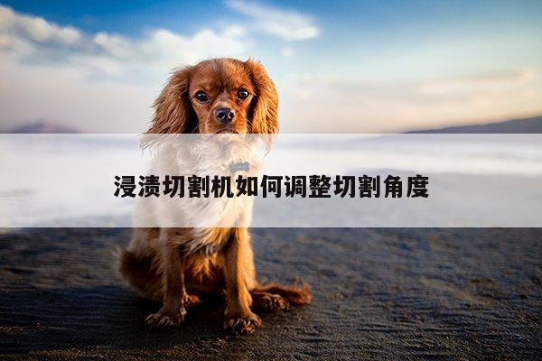 浸渍切割机如何调整切割角度_爱游戏(ayx)官方网站