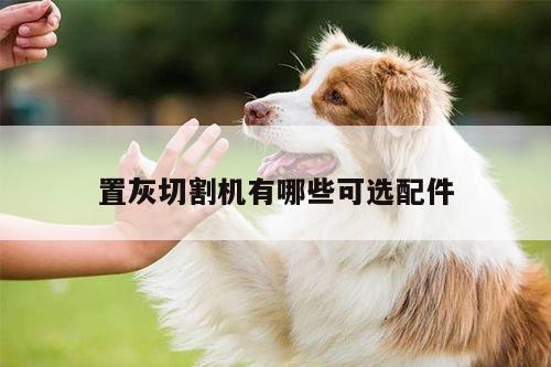 置灰切割机有哪些可选配件|ayx爱游戏