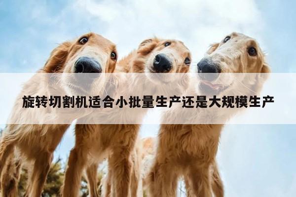 【爱游戏(ayx)官方网站】旋转切割机适合小批量生产还是大规模生产