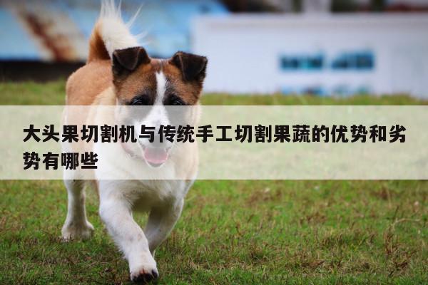 大头果切割机与传统手工切割果蔬的优势和劣势有哪些【ayx爱游