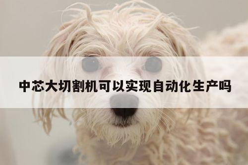 中芯大切割机可以实现自动化生产吗【爱游戏(ayx)官方网站】
