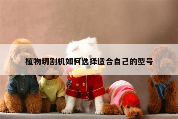 植物切割机如何选择适合自己的型号-爱游戏(ayx)官方网站