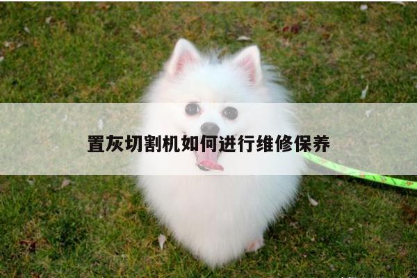 置灰切割机如何进行维修保养-爱游戏app