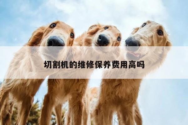 爱游戏平台|切割机的维修保养费用高吗