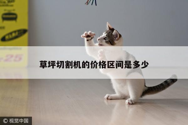 爱游戏平台|草坪切割机的价格区间是多少