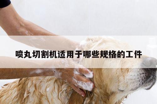 喷丸切割机适用于哪些规格的工件【爱游戏(ayx)官方网站】