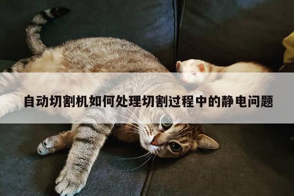 自动切割机如何处理切割过程中的静电问题_爱游戏平台