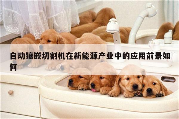 自动镶嵌切割机在新能源产业中的应用前景如何-爱游戏(ayx)