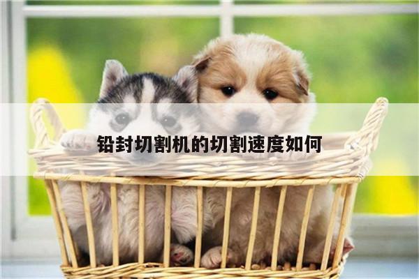 铅封切割机的切割速度如何-爱游戏(ayx)官方网站