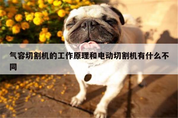 【ayx爱游戏】气容切割机的工作原理和电动切割机有什么不同