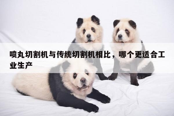 ayx爱游戏|喷丸切割机与传统切割机相比，哪个更适合工业生产