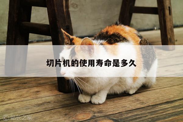 ayx爱游戏_切片机的使用寿命是多久