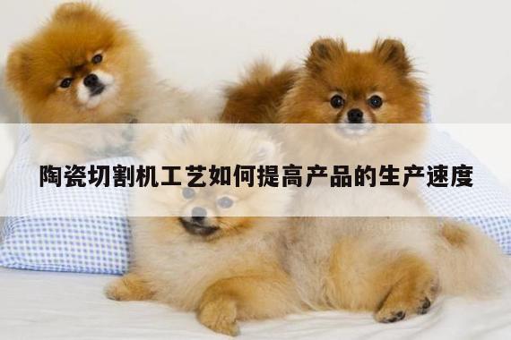 陶瓷切割机工艺如何提高产品的生产速度：爱游戏app