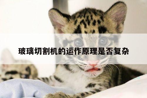 爱游戏app|玻璃切割机的运作原理是否复杂