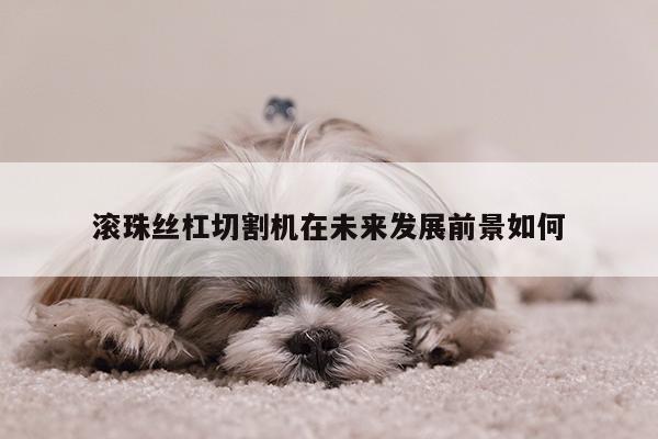 滚珠丝杠切割机在未来发展前景如何|爱游戏app