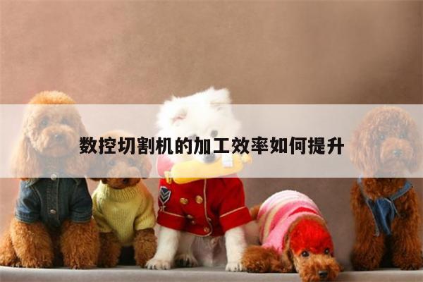 爱游戏app-数控切割机的加工效率如何提升