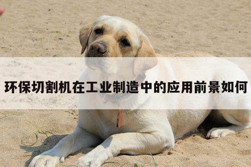 【爱游戏app】环保切割机在工业制造中的应用前景如何