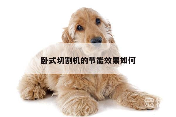 卧式切割机的节能效果如何|ayx爱游戏