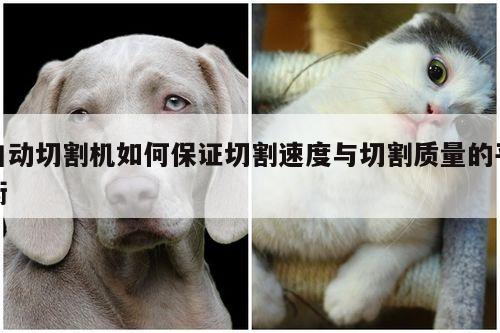 自动切割机如何保证切割速度与切割质量的平衡|爱游戏app