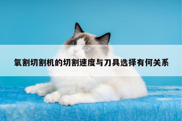 氧割切割机的切割速度与刀具选择有何关系-爱游戏(ayx)官方