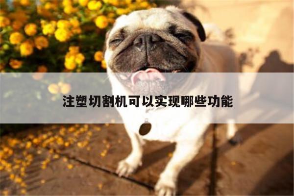 注塑切割机可以实现哪些功能|爱游戏(ayx)官方网站
