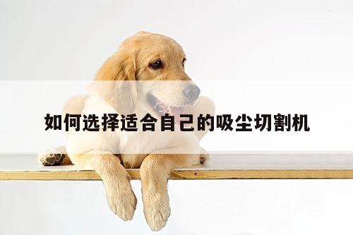 如何选择适合自己的吸尘切割机：爱游戏平台