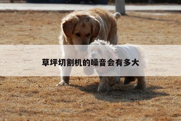【爱游戏平台】草坪切割机的噪音会有多大
