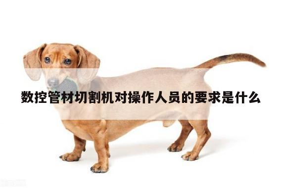 数控管材切割机对操作人员的要求是什么：爱游戏平台