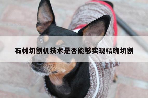 爱游戏(ayx)官方网站：石材切割机技术是否能够实现精确切割