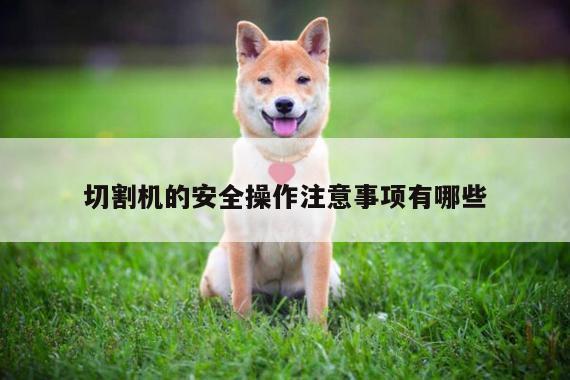切割机的安全操作注意事项有哪些|爱游戏(ayx)官方网站