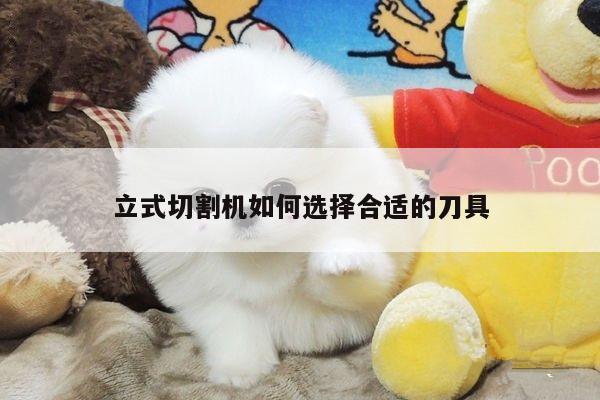 立式切割机如何选择合适的刀具-爱游戏app