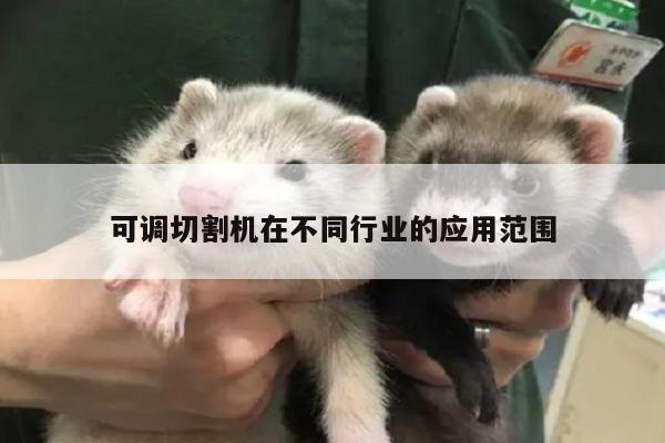 可调切割机在不同行业的应用范围：爱游戏(ayx)官方网站