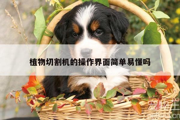 爱游戏(ayx)官方网站|植物切割机的操作界面简单易懂吗