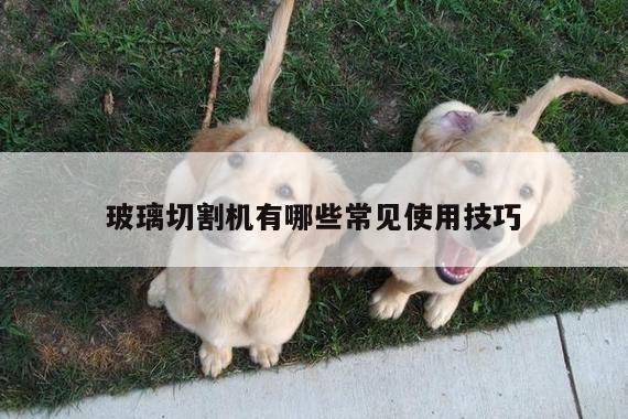 玻璃切割机有哪些常见使用技巧_ayx爱游戏