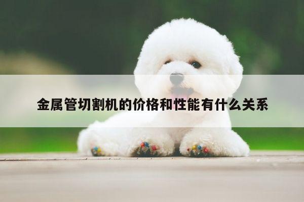 爱游戏app-金属管切割机的价格和性能有什么关系