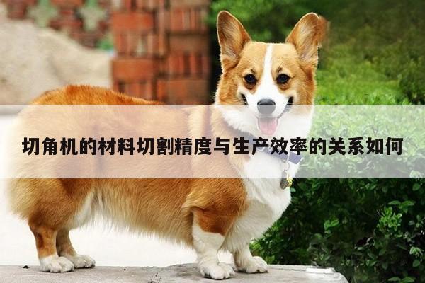 切角机的材料切割精度与生产效率的关系如何_爱游戏(ayx)官方网站