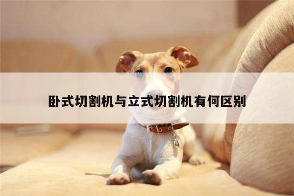 爱游戏app|卧式切割机与立式切割机有何区别