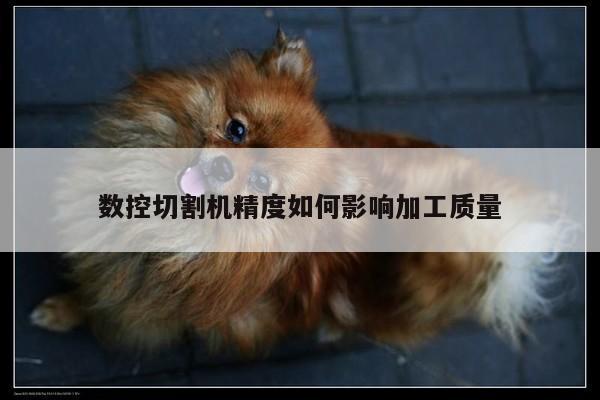 爱游戏(ayx)官方网站_数控切割机精度如何影响加工质量