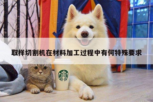 【ayx爱游戏】取样切割机在材料加工过程中有何特殊要求