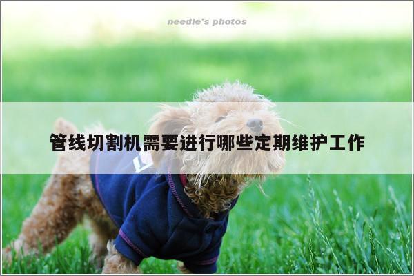 管线切割机需要进行哪些定期维护工作_爱游戏app