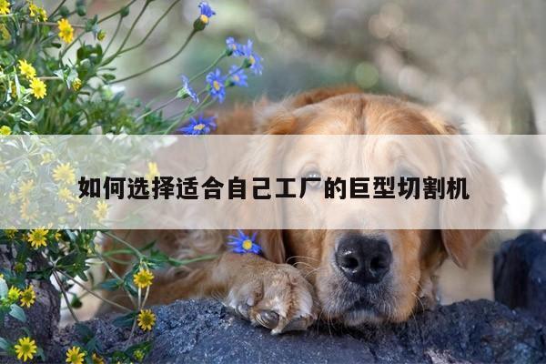 爱游戏平台|如何选择适合自己工厂的巨型切割机