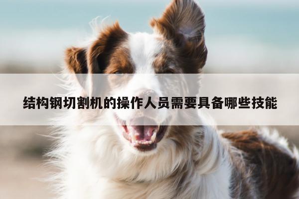 爱游戏平台_结构钢切割机的操作人员需要具备哪些技能