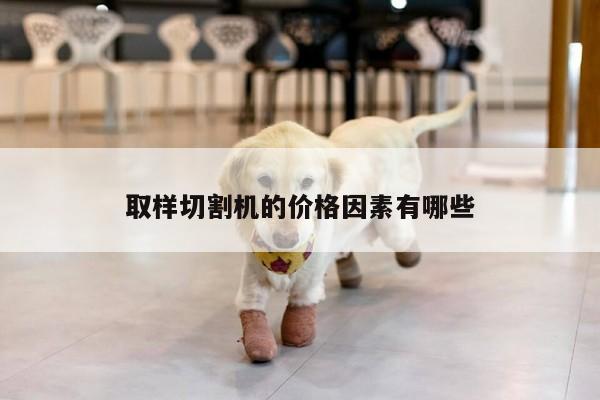 爱游戏(ayx)官方网站_取样切割机的价格因素有哪些