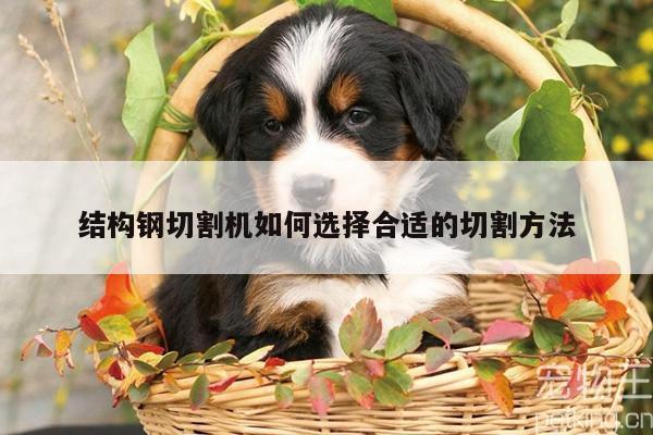 爱游戏app：结构钢切割机如何选择合适的切割方法