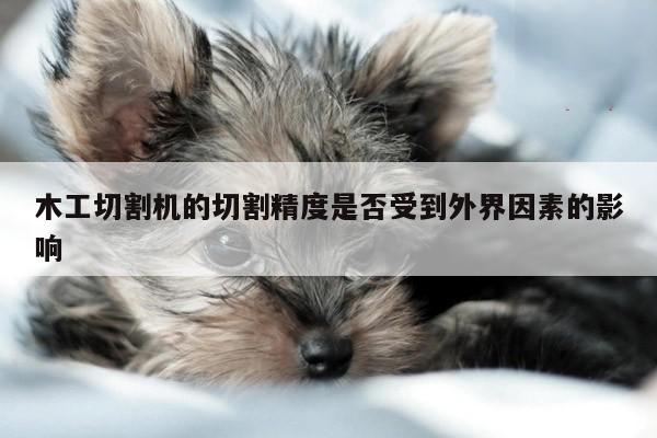【爱游戏app】木工切割机的切割精度是否受到外界因素的影响